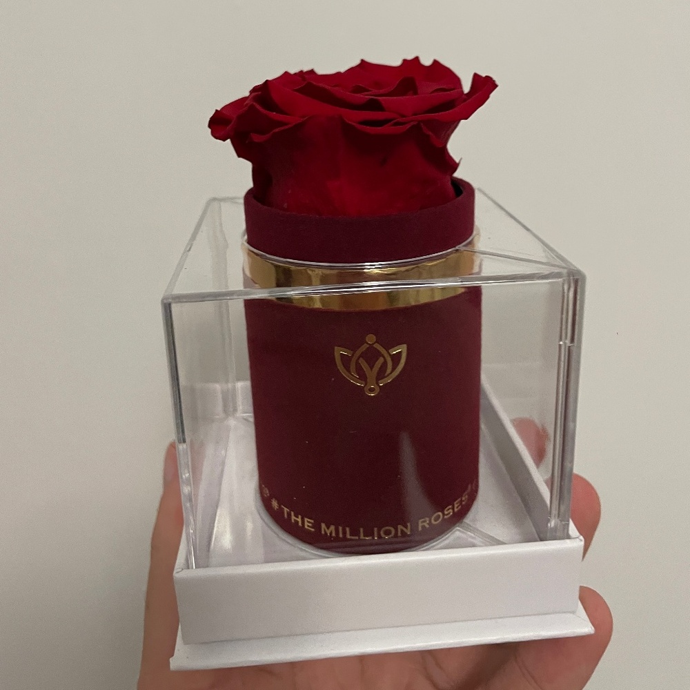 The million roses